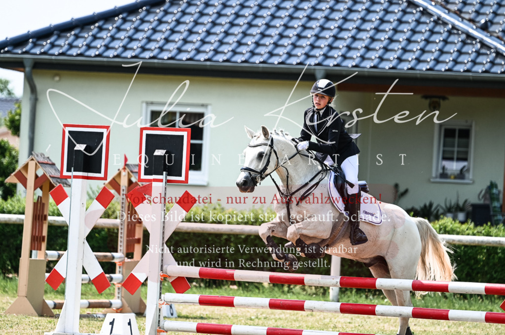 DSC_9406 | Pferde- und Turnierfotografie in Westsachsen. Pferdeportraits, Auftragszeichnungen und intuitive Kunst.