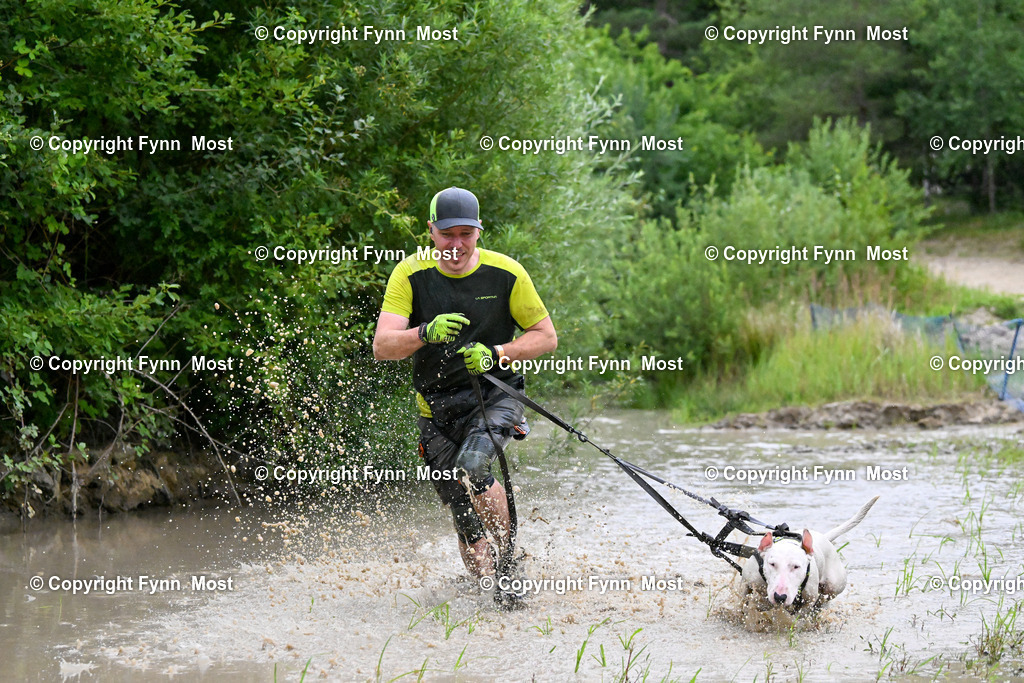 DSC_1772 | Hallo und herzlich Willkommen auf meiner Shop-Seite Fynn Most.

Ich wünsche Dir viel Spaß beim stöbern durch die Bilder, wenn Du Fragen hast oder Bilder vermisst, kannst du mir gerne eine Nachricht schreiben. - Realisiert mit Pictrs.com