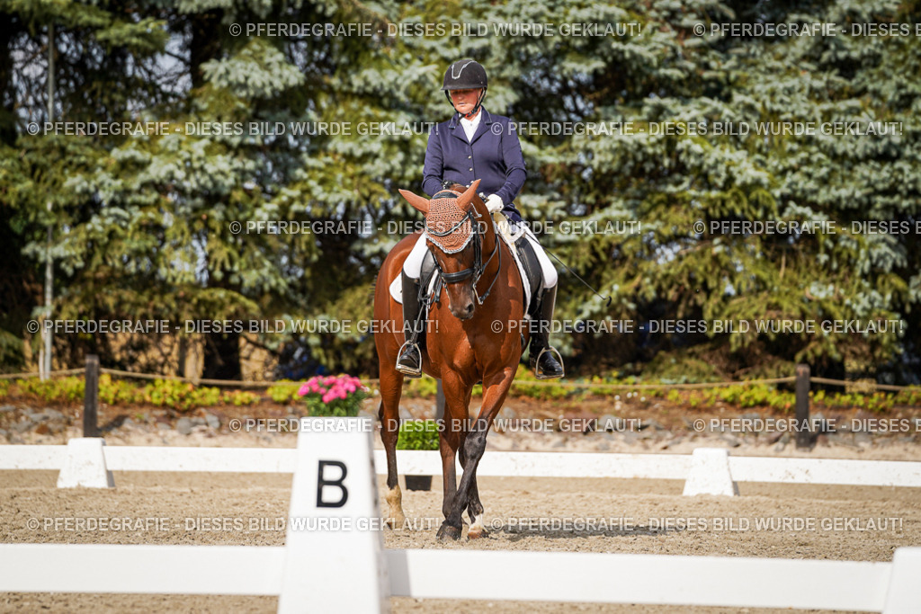 DSC07236 | Pferdegrafie