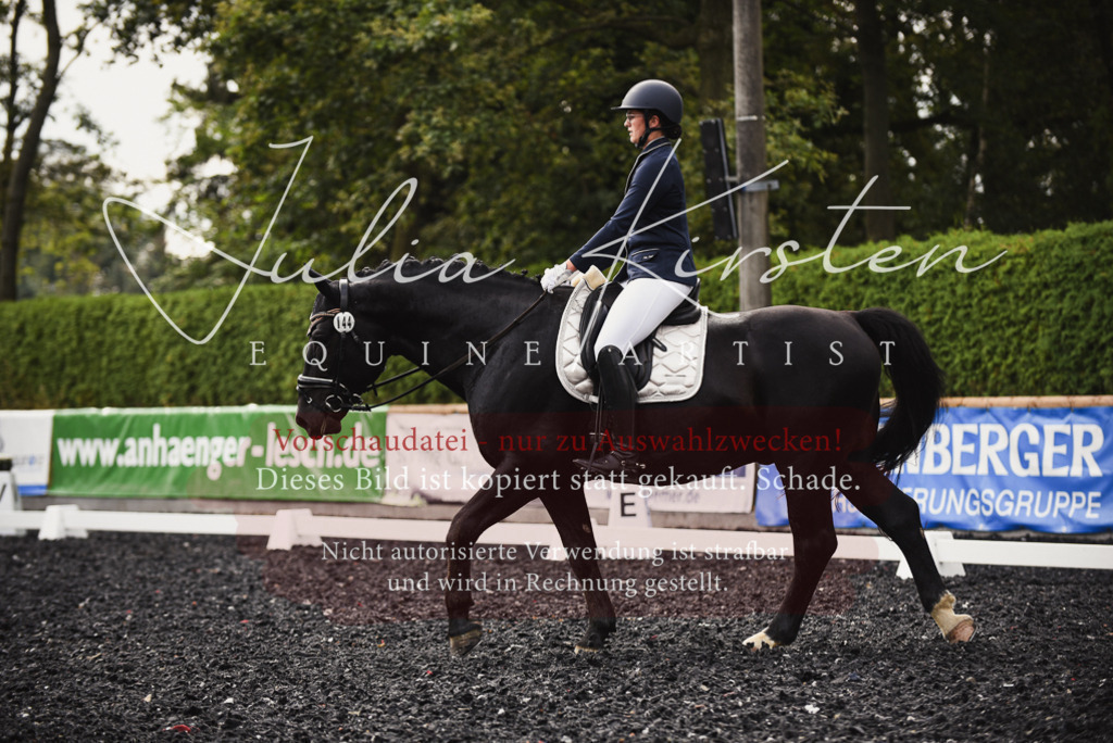 DSC_3753 | Pferde- und Turnierfotografie in Westsachsen. Pferdeportraits, Auftragszeichnungen und intuitive Kunst.