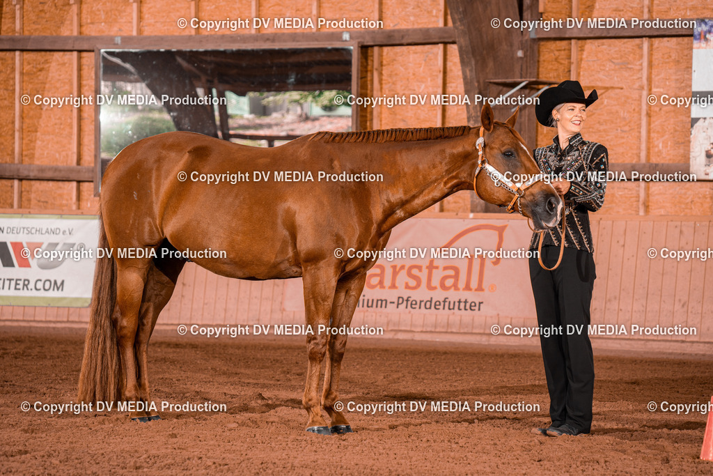 NE200031 | dv-media-shop - Realisiert mit Pictrs.com