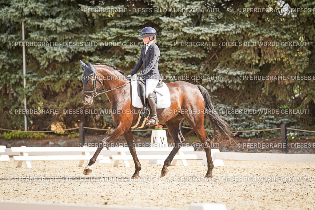 DSC00725 | Pferdegrafie