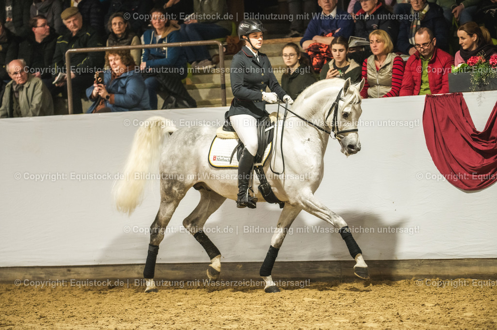 20240302_Hengstvorstellung_Marbach_TOMsPiC_0994 | equistock