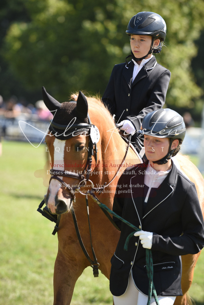 DSC_9708 | Pferde- und Turnierfotografie in Westsachsen. Pferdeportraits, Auftragszeichnungen und intuitive Kunst.