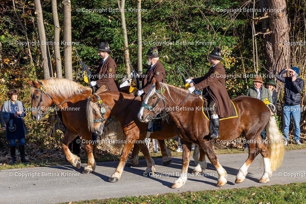 LBT25-63 | foto-bettina-krinner - Realisiert mit Pictrs.com