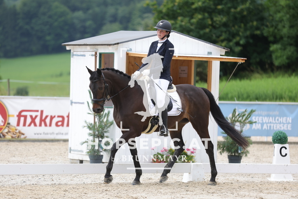 0P6A3889 | Willkommen bei Brunnmayr - Design & Fotografie – Ihrem Spezialisten für Reitturniere und Pferdeveranstaltungen in Oberösterreich, Salzburg und Bayern! Seit über 17 Jahren sind wir leidenschaftlich dabei.