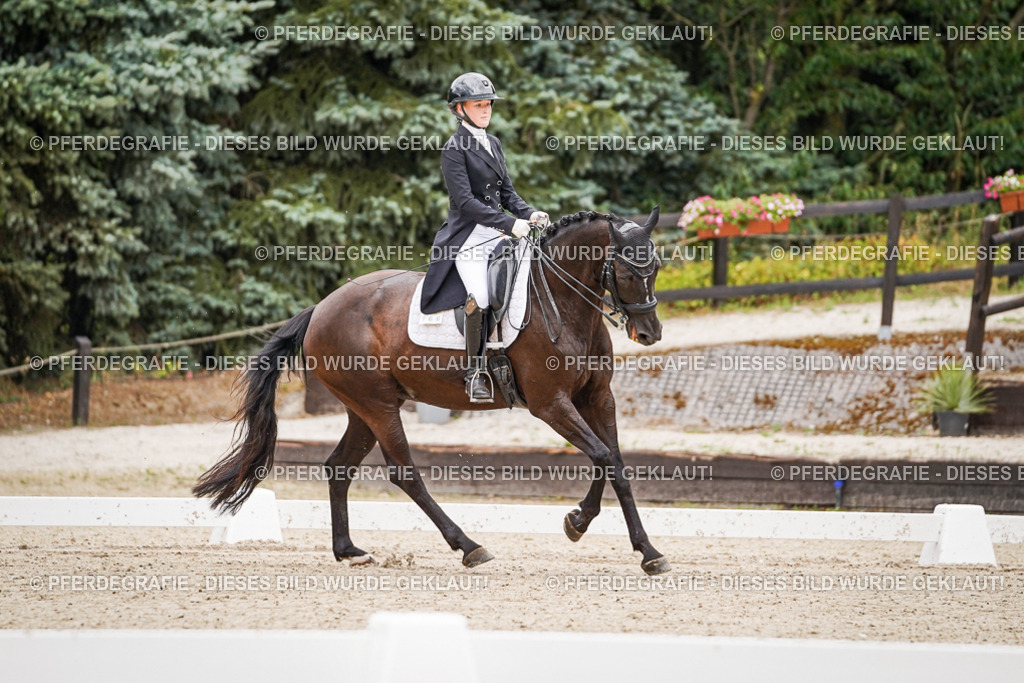 DSC07139 | Pferdegrafie