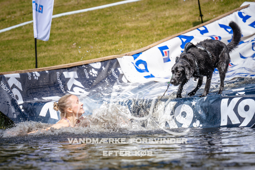 _ZZ953041007 | kk-dogfotos