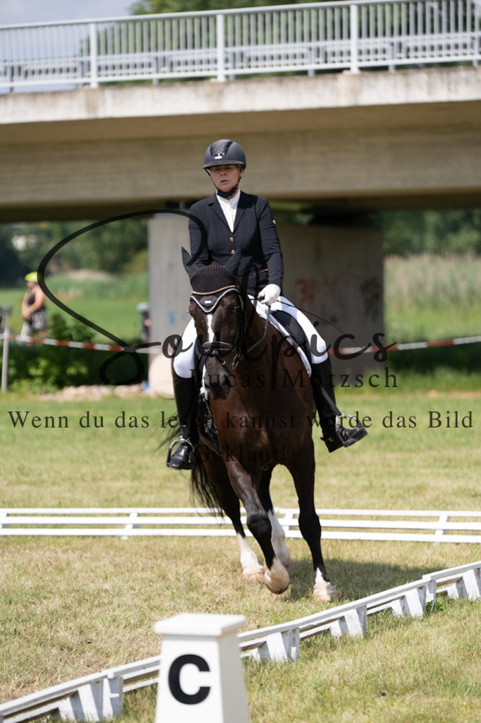 A7V09896 | Pferdefotograf