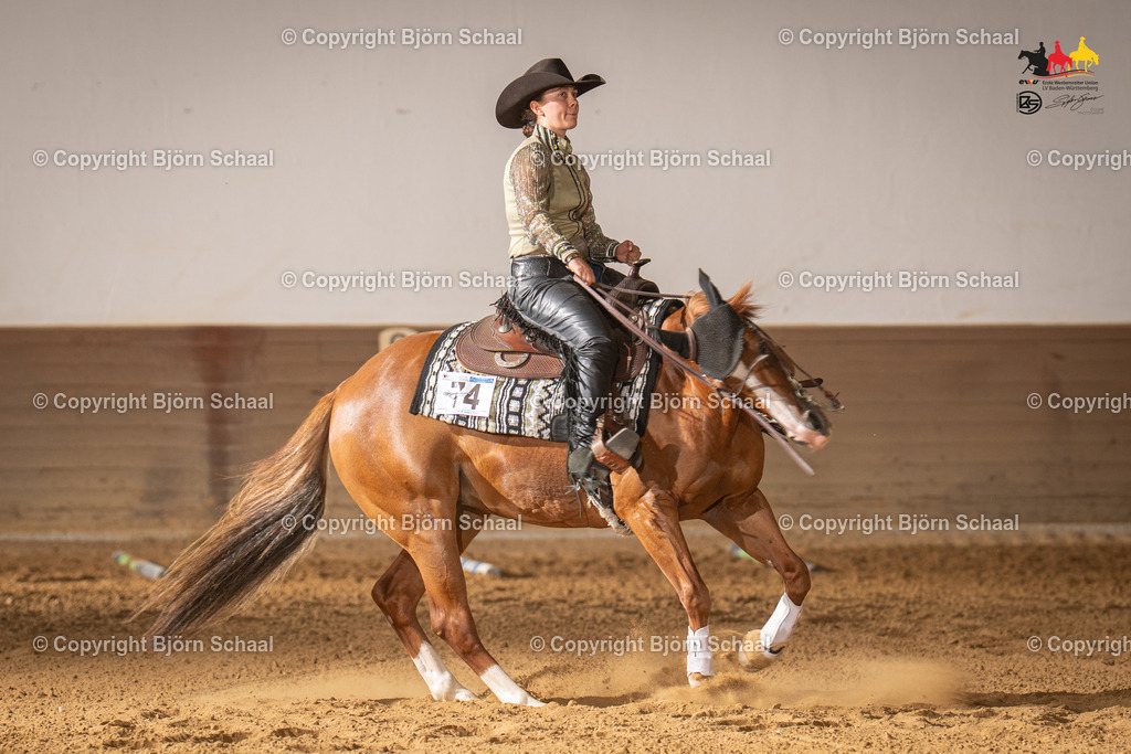 LMS06570 | BS-foto