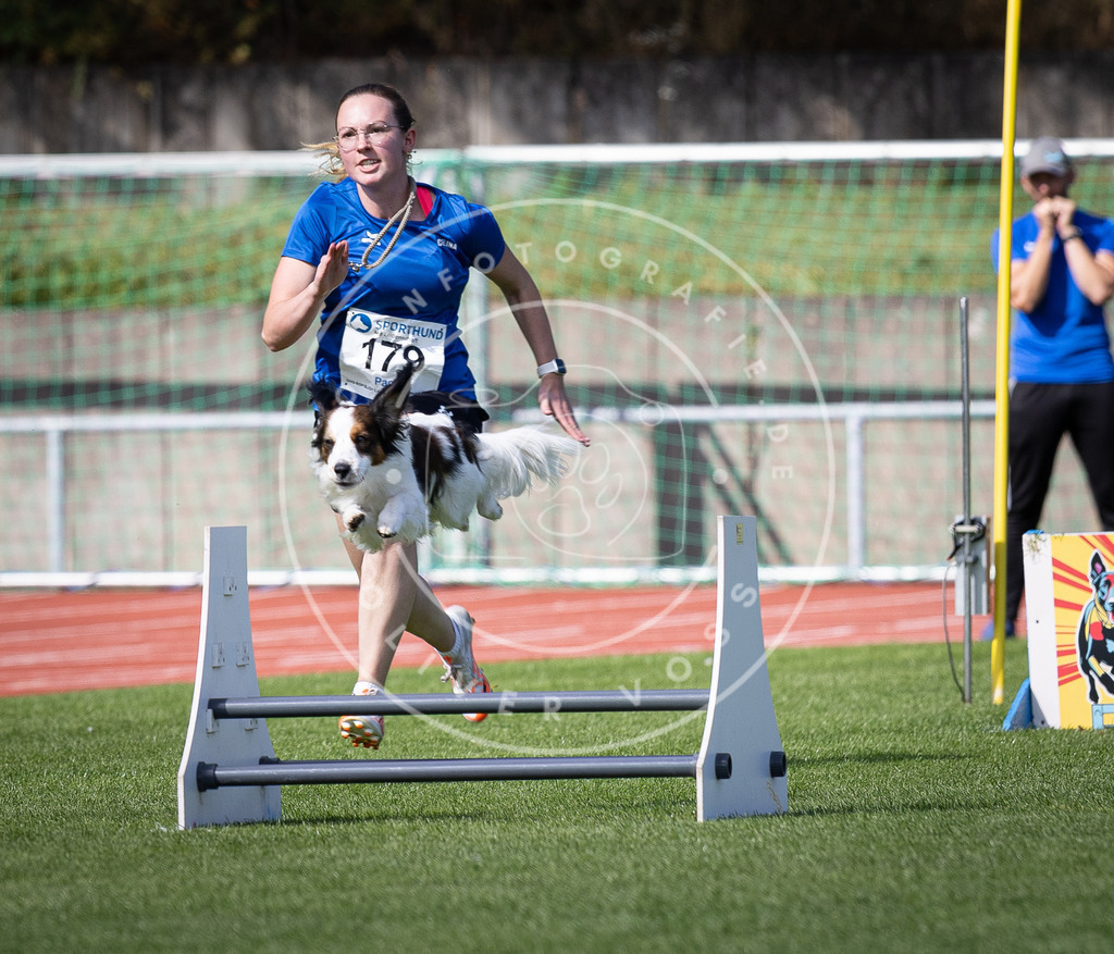 Pfotenfotografie_DV3A0201 | Hundefotografie, Tierfotograf, Pfotenfotografie, Fotoshooting Hund, Hunde Portrait, Hundesport, Hundeportraits, Heideshooting, Hunde, Sportfotograf, Hundefotograf, Turnierhundsport, THS,  - Realisiert mit Pictrs.com