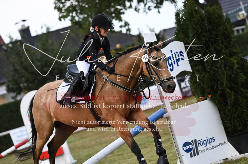 DSC_5607 | Pferde- und Turnierfotografie in Westsachsen. Pferdeportraits, Auftragszeichnungen und intuitive Kunst.