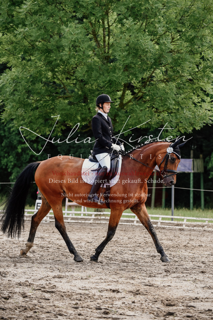 DSC_9739 | Pferde- und Turnierfotografie in Westsachsen. Pferdeportraits, Auftragszeichnungen und intuitive Kunst.