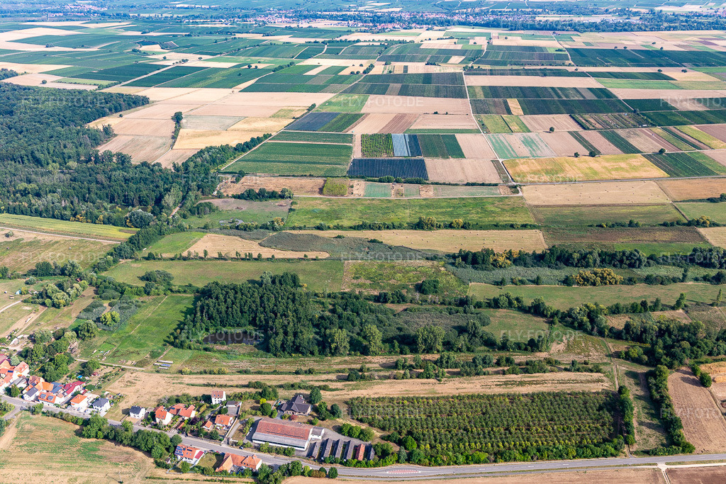 Luftbild: Naturschutzgebiet Billigheimer Bruch im Ortsteil Mühlhofen in Billigheim-Ingenheim im Bundesland Rheinland-Pfalz in Deutschland. Foto: IMG_134295.jpg vom 29.08.2022 durch Werner Riehm/FLY-FOTO.de