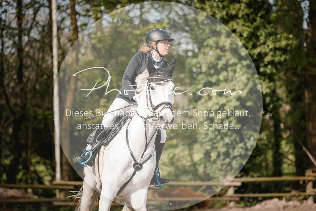 3I6A3465 | Stimmungsvolle Portraits und Reitsportfotografie im Ruhrgebiet und im Münsterland.

Pferdefotografie, Hundefotografie, Tierfotografie, Reportagen, Portraits von Tier und Mensch, Turnierfotografie in Bochum, Recklinghausen, Marl, Haltern am See, Dülmen.. - Realisiert mit Pictrs.com