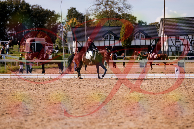 2026_10_03_Siefer-Hof_133903_Z81_98321973 | Professionelle Reitsport-, Turnier- und Eventfotografie von Robert Broda. Galerien mit ausgewählten und bearbeiteten Bildern direkt online ansehen und bestellen.