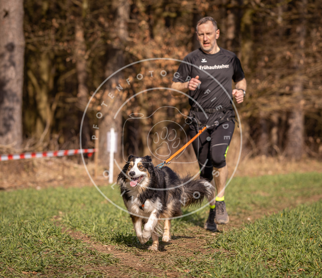 DV3A6408 | Hundefotografie, Tierfotograf, Pfotenfotografie, Fotoshooting Hund, Hunde Portrait, Hundesport, Hundeportraits, Heideshooting, Hunde, Sportfotograf, Hundefotograf, Turnierhundsport, THS,  - Realisiert mit Pictrs.com
