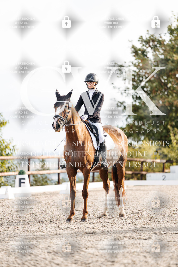 CK900481 | Turnierfotografie Pferdefotografie Trier Rheinland-Pfalz Pferdesport Reitsport Tierfotografie Sportfotografie Pferdevideo Pferdevideografie Equestrianvideography equestrianphotography  - Realisiert mit Pictrs.com
