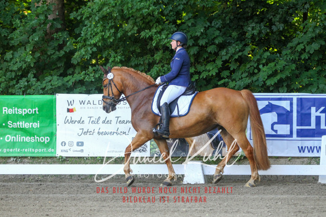 DKP42866 | Turniersportfotografie; Pferdefotografie; Dressurfotografie