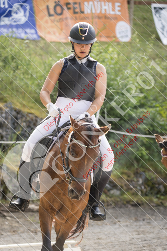 IMG_6011 | Sport-, Event- und Tierfotos in Profiqualität. Einfach auswählen, bestellen und herunterladen. Dein Moment – perfekt festgehalten.