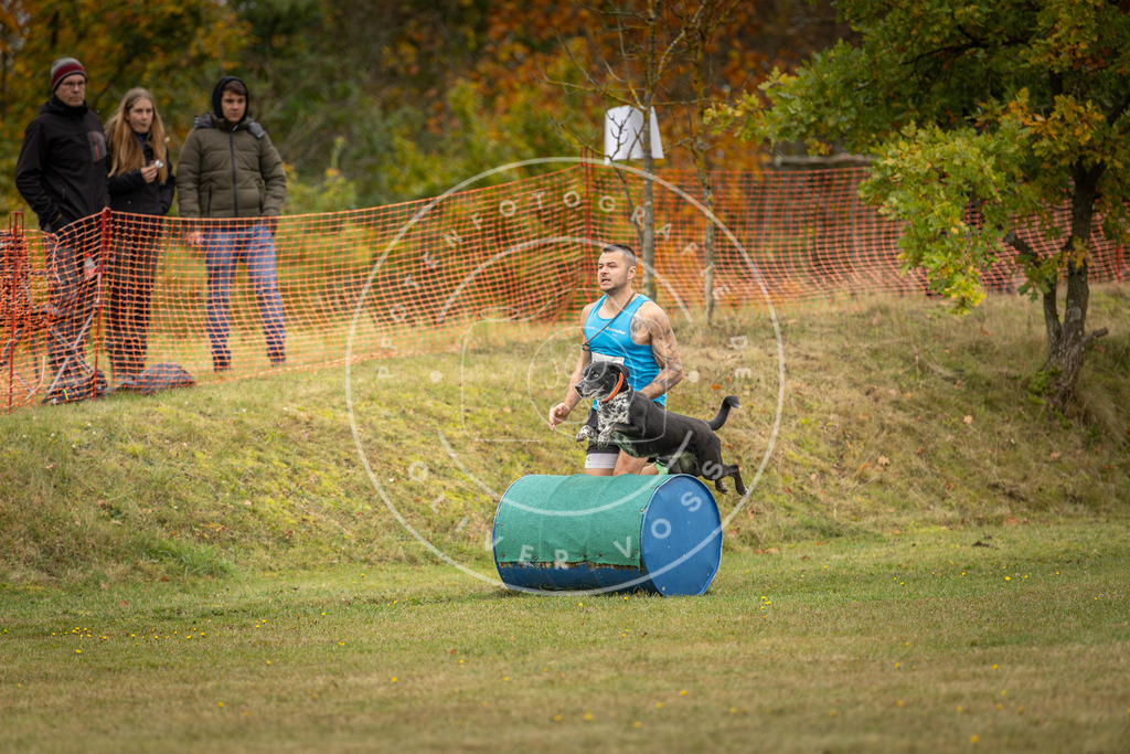Pfotenfotografie_DV3A5784 | Hundefotografie, Tierfotograf, Pfotenfotografie, Fotoshooting Hund, Hunde Portrait, Hundesport, Hundeportraits, Heideshooting, Hunde, Sportfotograf, Hundefotograf, Turnierhundsport, THS,  - Realisiert mit Pictrs.com