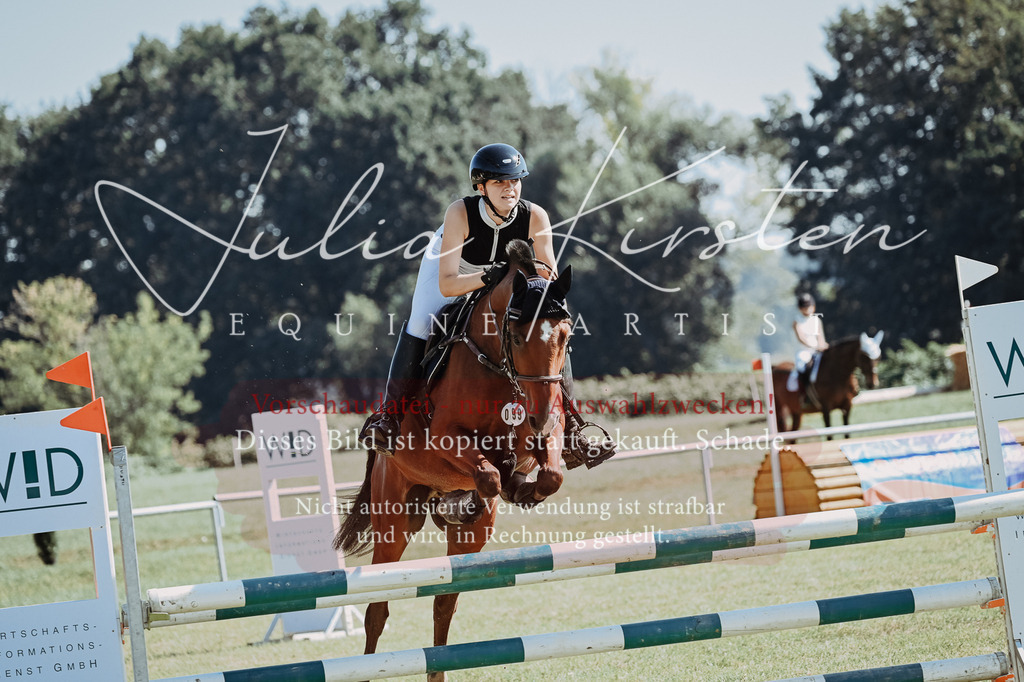 DSC_5747 | Pferde- und Turnierfotografie in Westsachsen. Pferdeportraits, Auftragszeichnungen und intuitive Kunst.