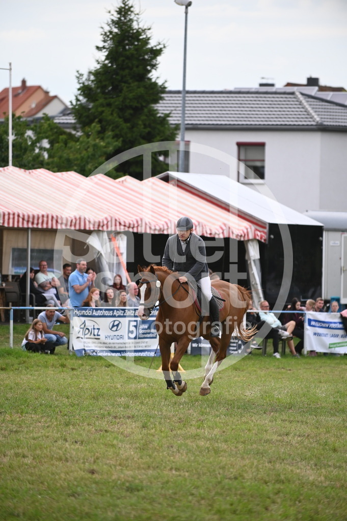 DSC_3929 | sattelsport - Realisiert mit Pictrs.com