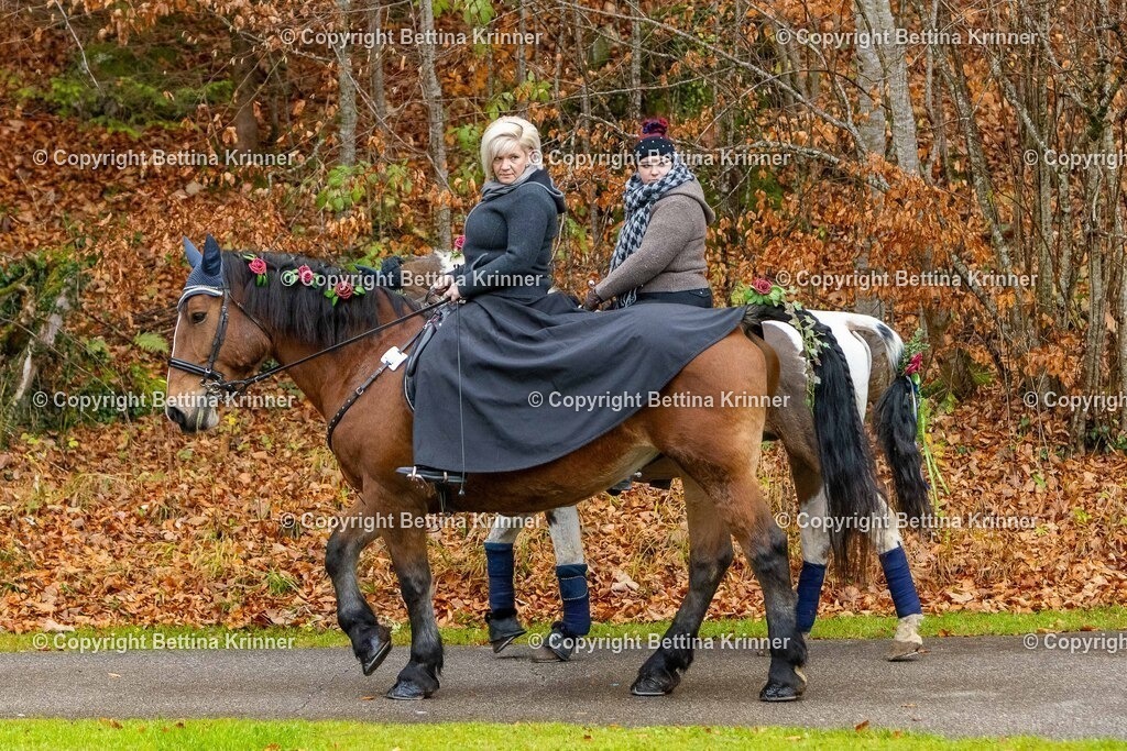 LL25-157 | foto-bettina-krinner - Realisiert mit Pictrs.com