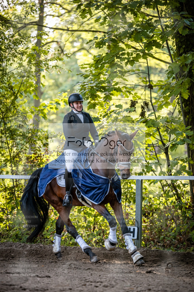 2026-10-Helle-14-0033 | Entdecke hochwertige Reitturnierfotos von Foto Oger. Professionell, emotional und authentisch – jetzt Lieblingsmomente im Shop bestellen.Deutschlandweite Turnierfotografie. - Realisiert mit Pictrs.com