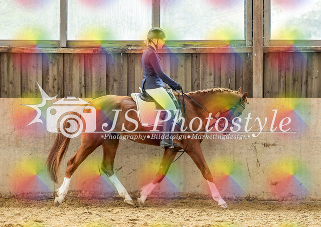 20260403_AH-Reitabzeichen_Dressur_3-5_Grp2 (16) | JS-Photostyle - Sport-/Portrait- & Eventfotografie