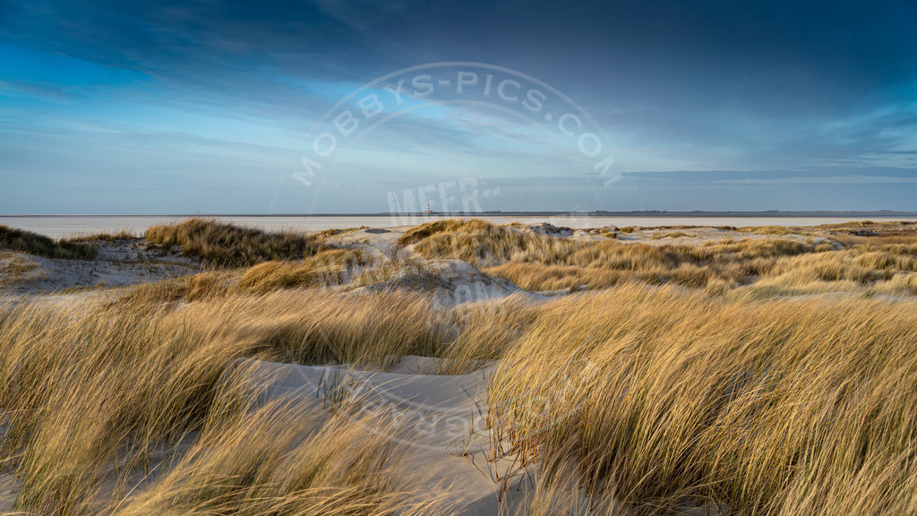 Dünen am Hungerhamm | Lighthouse Northsea
