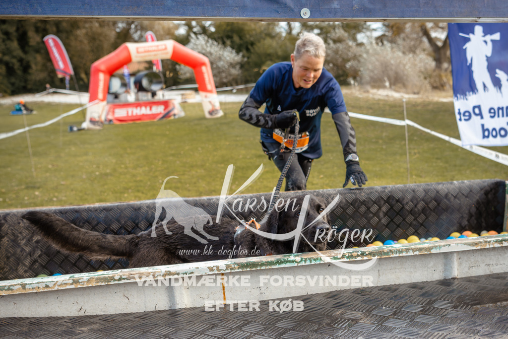 1529_ZZ96849 | kk-dogfotos