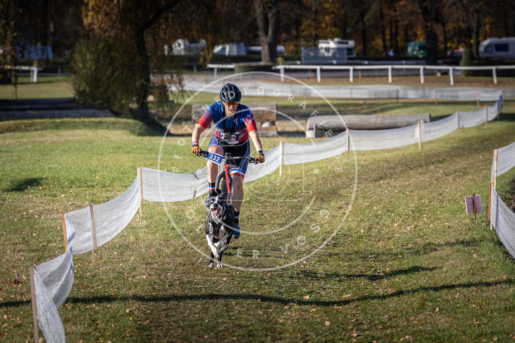 CaniXpix_DV3A3914 | Hundefotografie, Tierfotograf, Pfotenfotografie, Fotoshooting Hund, Hunde Portrait, Hundesport, Hundeportraits, Heideshooting, Hunde, Sportfotograf, Hundefotograf, Turnierhundsport, THS,  - Realisiert mit Pictrs.com