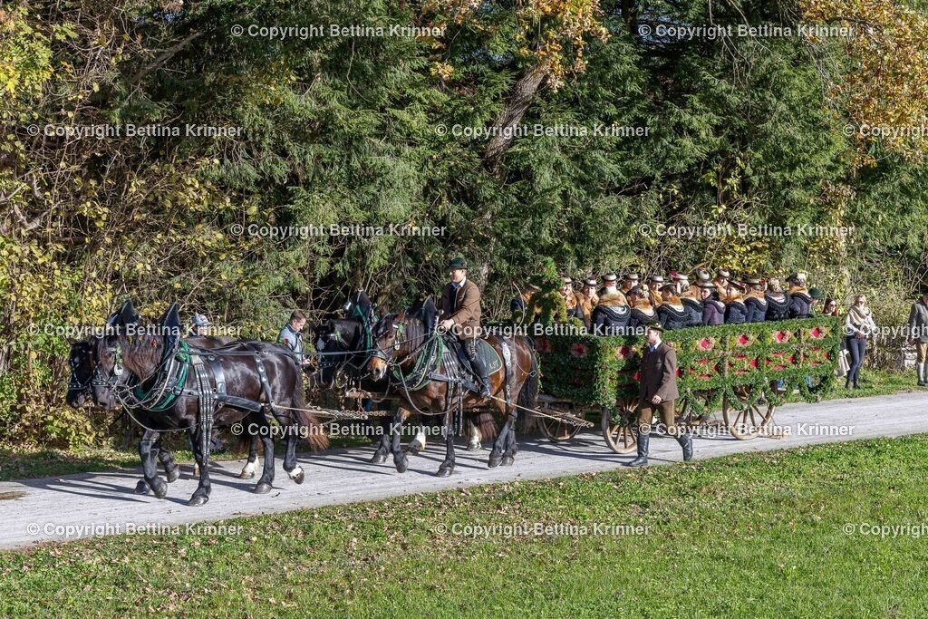 LBT24-889 | foto-bettina-krinner - Realisiert mit Pictrs.com