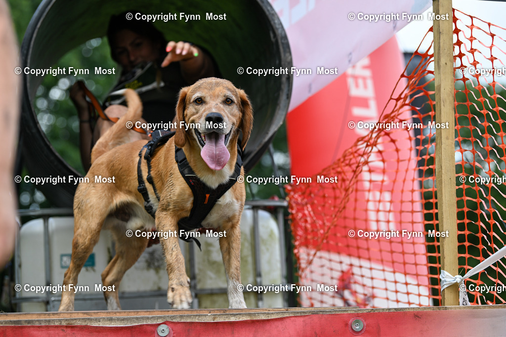 DSC_4406 | Hallo und herzlich Willkommen auf meiner Shop-Seite Fynn Most.

Ich wünsche Dir viel Spaß beim stöbern durch die Bilder, wenn Du Fragen hast oder Bilder vermisst, kannst du mir gerne eine Nachricht schreiben. - Realisiert mit Pictrs.com