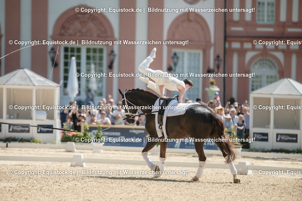 20230528_Voltigieren_NASPA_0093 | equistock