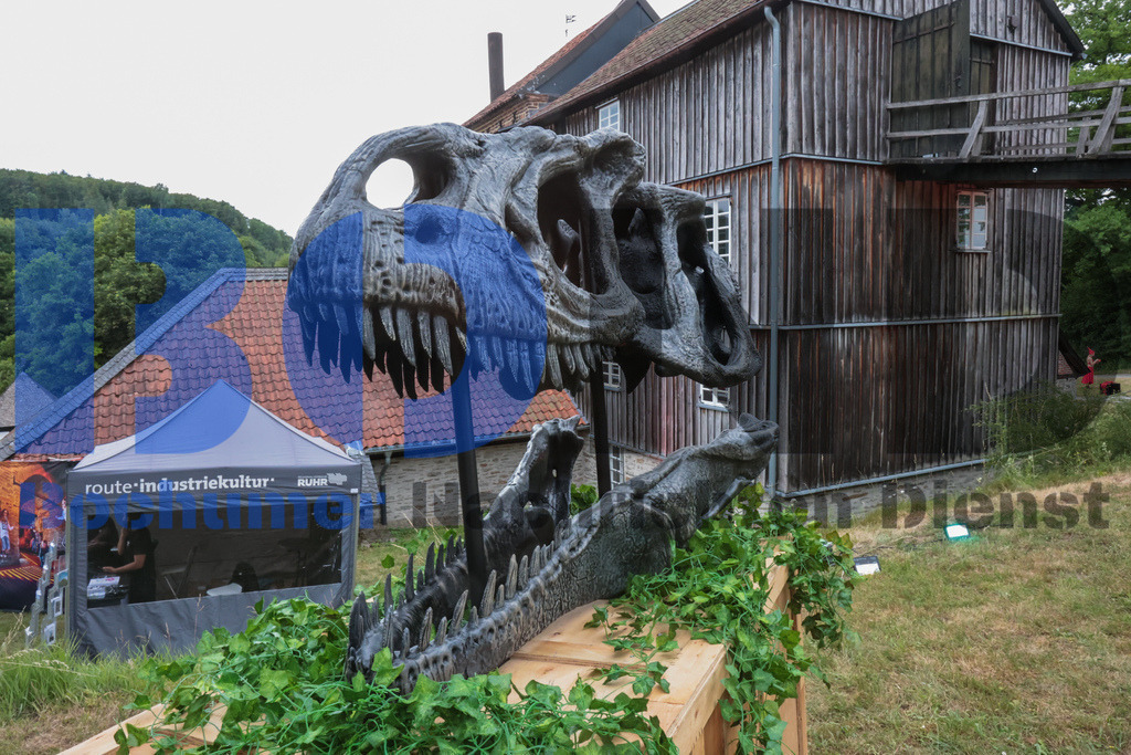 SES_MKRLHE20250705-1 | bond - Realisiert mit Pictrs.com