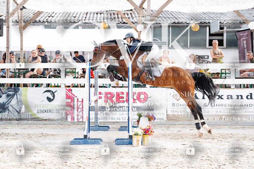 CK906876 | Turnierfotografie Pferdefotografie Trier Rheinland-Pfalz Pferdesport Reitsport Tierfotografie Sportfotografie Pferdevideo Pferdevideografie Equestrianvideography equestrianphotography  - Realisiert mit Pictrs.com