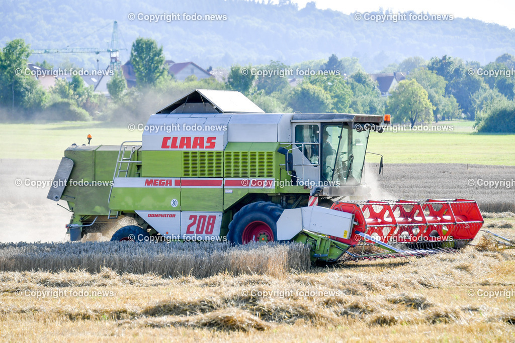 Deutschland_ Baden-Wuerttemberg_ Ebersbach an der Fils_ 14.08.2025-1 | 14.08.2025, Deutschland, GER, Baden-Wuerttemberg, Ebersbach an der Fils, im Bild Themenbild, Maehdrescher, Ernte, Getreide, Landwirtschaft, Feldarbeit, Dreschen, Erntemaschine, Ackerbau, Stroh, Halm, Korn, Agrartechnik, Sommer, Staub, Schneidwerk, Landwirt, Bauer, Ertrag, Erntezeit, Großmaschine, Feld, Landwirtschaftsbetrieb, Maschinenkraft, Feature, Symbolbild