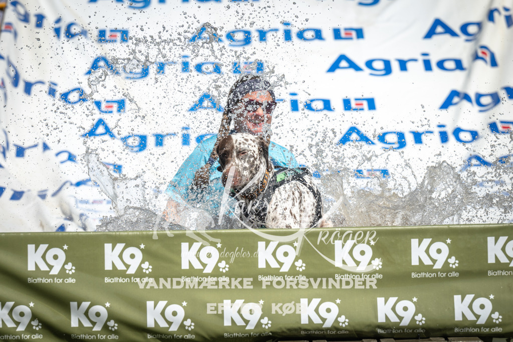 1341_ZZ90817 | kk-dogfotos