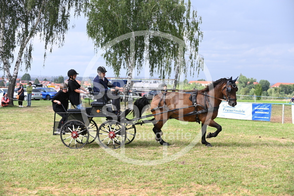 DSC_8930 | sattelsport - Realisiert mit Pictrs.com