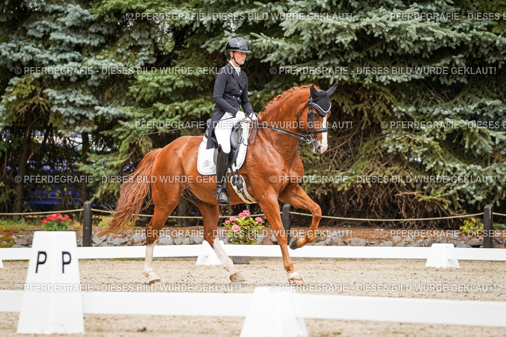 DSC05663 | Pferdegrafie