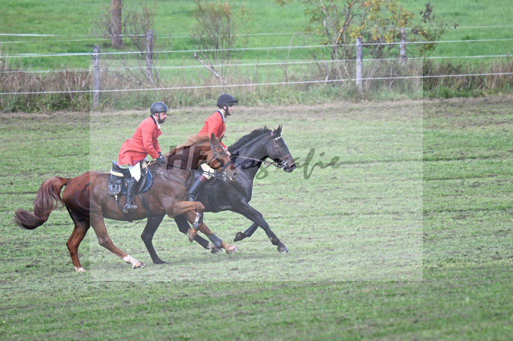 40250291 | hf-fotografie - Realisiert mit Pictrs.com