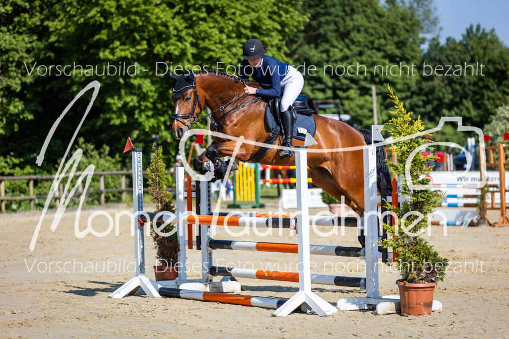 Donop24-ASpr-036 | MomenTaufnahmen Pferdesportfotos