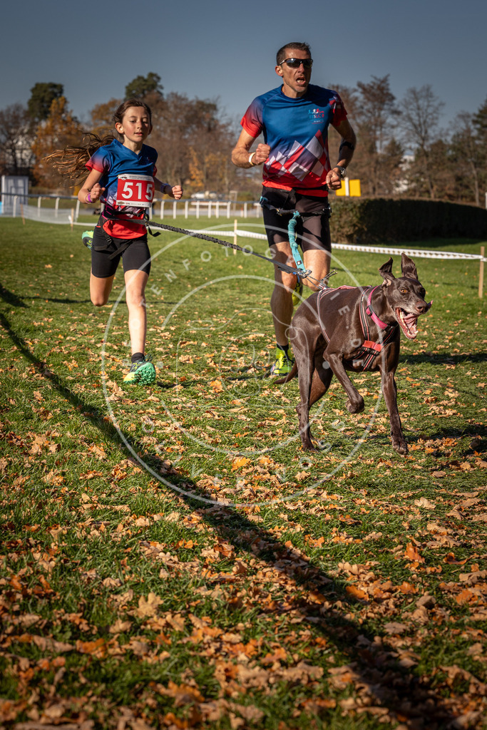 CaniXpix_0L8A6956 | Hundefotografie, Tierfotograf, Pfotenfotografie, Fotoshooting Hund, Hunde Portrait, Hundesport, Hundeportraits, Heideshooting, Hunde, Sportfotograf, Hundefotograf, Turnierhundsport, THS,  - Realisiert mit Pictrs.com