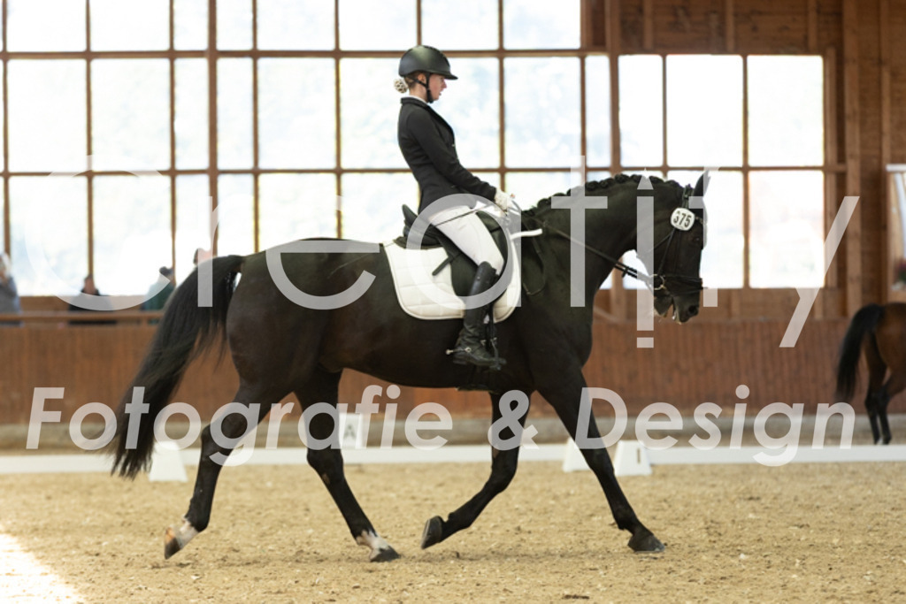 IMG_4920 | Creatify Fotografie