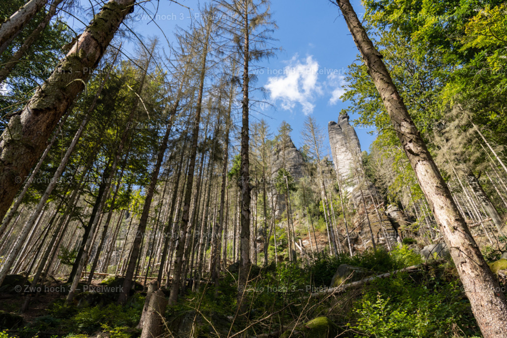 Koenigsweg_Nahe_Wolfsstiege_Wolfsnadel_Felsnadel_Waldsterben | 2022-09-02_Waldbrandgebiete_2 - Realisiert mit Pictrs.com
