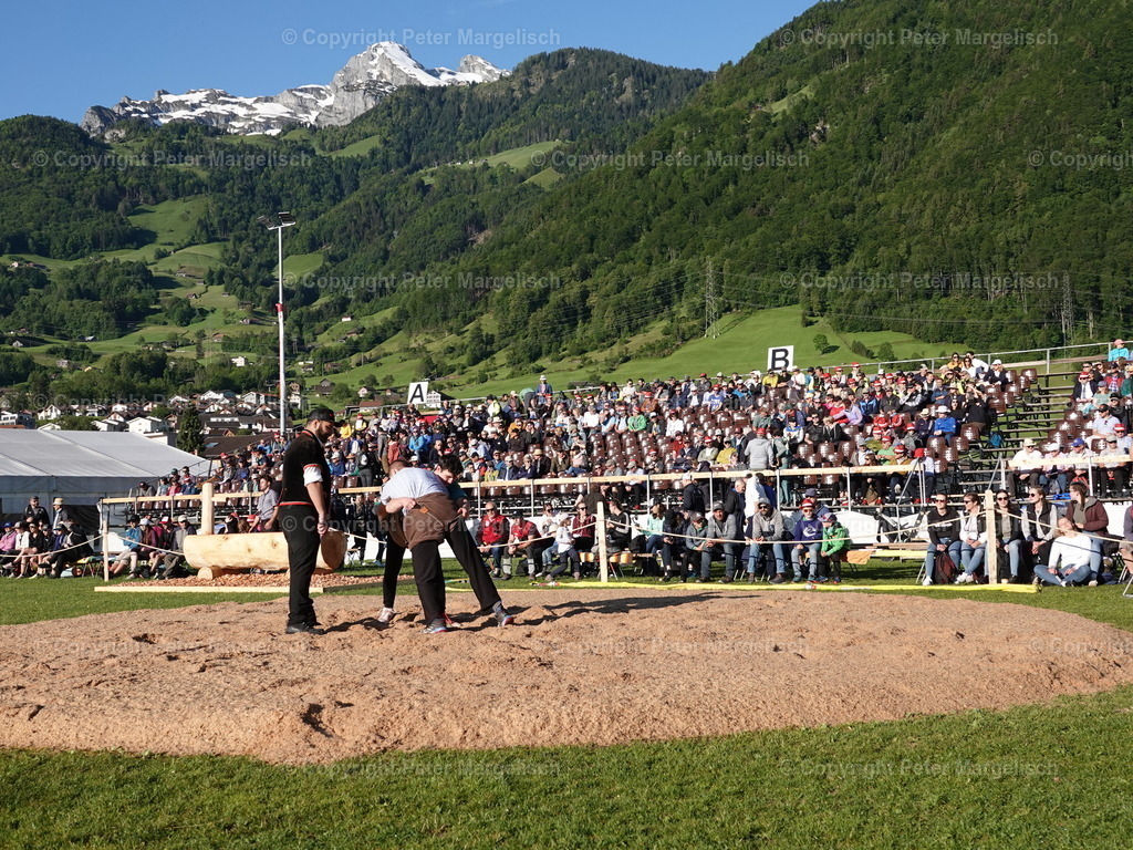 DSC07334 | Schwingen - Realisiert mit Pictrs.com