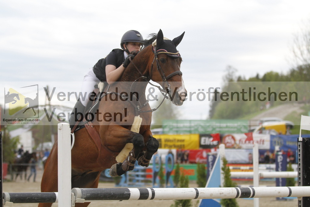 _MG_8482 | equestrian-live-com