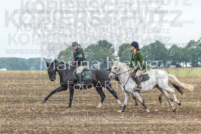 Jagd Perdoel_MarinaHewigMCH04167 | Fotografie, FotoArt, PferdesportArt, Pferdesportfotografie, Landschaftsfotografie, Reisefotografie, Reise, Pferde - Realisiert mit Pictrs.com
